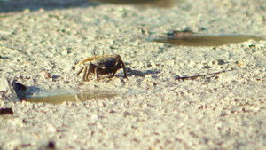 Poster for Episode 4 Poster for Episode 4