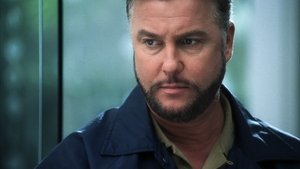 Poster for Butterflied