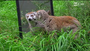 Poster for Episode 2 Poster for Episode 2