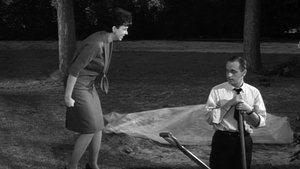 Poster for How to Get Rid of Your Wife