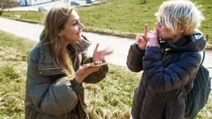 Poster for Biodiversitet giver mig kvalme