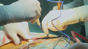 Poster for Episode 3 Poster for Episode 3