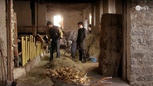 Poster for I Don't Know Anything