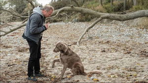 Poster for Episode 28 Poster for Episode 28