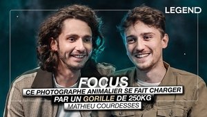 Poster for This wildlife photographer is charged by a 250 kg gorilla (Mathieu Courdesses)