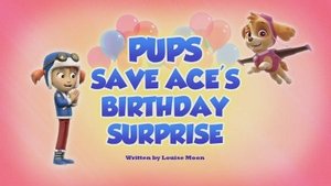 Poster for Pups Save Ace's Birthday