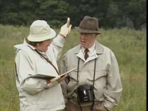 Poster for Iron Age Remains