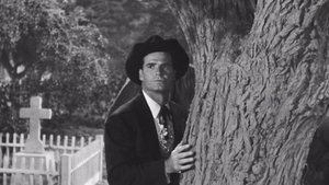 Poster for The Cats of Paradise