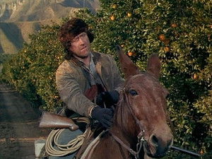 Poster for The Death Merchant