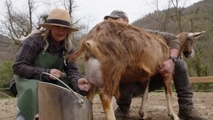 Poster for Episode 2