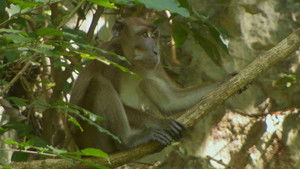 Poster for Episode 30