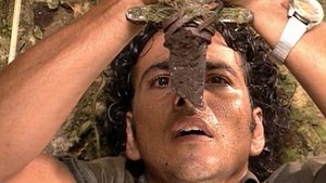 Poster for Chapter 212 (Part 2) Poster for Chapter 212 (Part 2)