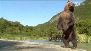 Poster for Episode 5 Poster for Episode 5