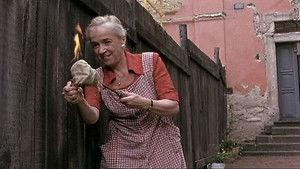 Poster for Murder in a Vegetable Garden