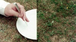 Poster for Mathshow: Doctor Where - O for Symmetry! Poster for Mathshow: Doctor Where - O for Symmetry!