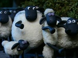 Poster for Sheepwalking