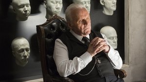 Poster for The Stray