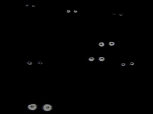 Poster for The Silver Chair (2)