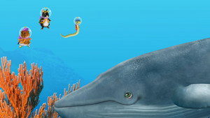 Poster for Help the Blue Whale! / Help the Baby Meerkat! Poster for Help the Blue Whale! / Help the Baby Meerkat!