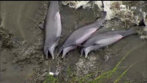 Poster for Episode 3 Poster for Episode 3