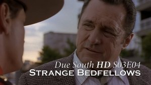 Poster for Strange Bedfellows