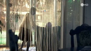 Poster for Missed Opportunity