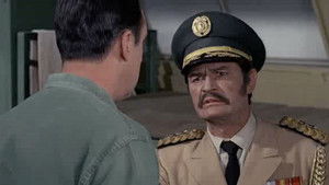 Poster for The Wild Bull Returns Poster for The Wild Bull Returns