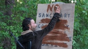 Poster for No Sanctuary Poster for No Sanctuary