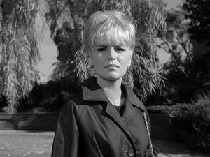 Poster for The Case of the Fugitive Fraulein