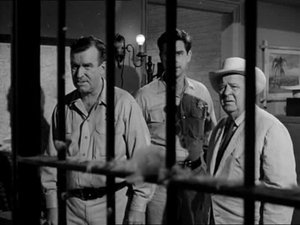 Poster for The Star Juror