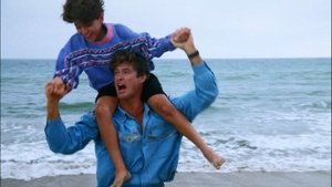 Poster for The Fabulous Buchannon Boys