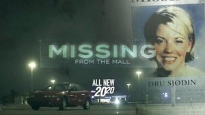 Poster for Missing from the Mall