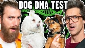 Poster for Link Is Shocked By Dog DNA Results