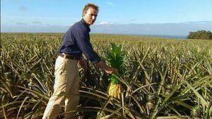 Poster for Follow That Plane!