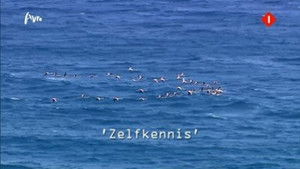 Poster for Zelfkennis (Self-knowledge)