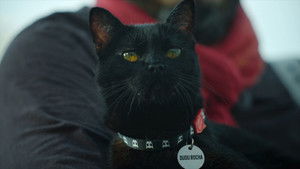 Poster for Episode 7