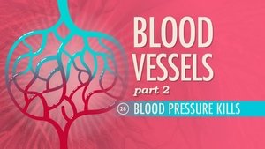 Poster for Blood Vessels, Part 2