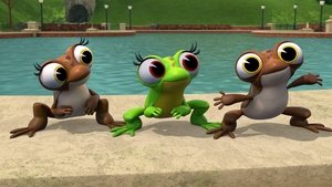 Poster for Odd Frog Out