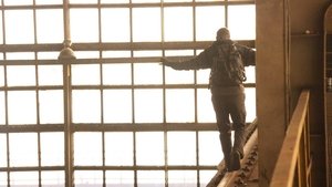 Poster for Urban Survivor