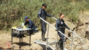 Poster for The Dude in the Dam