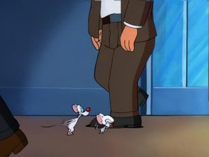 Poster for Mice Don't Dance