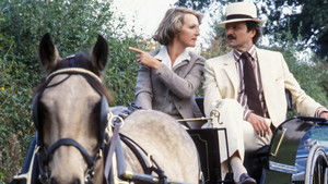 Poster for Horse vs Cars