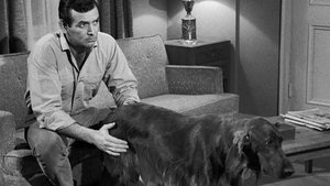 Poster for Bloodline