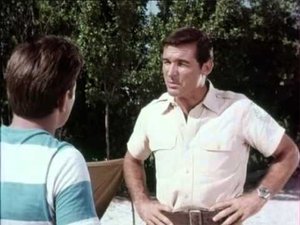 Poster for Flipper and the Seal Poster for Flipper and the Seal