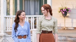 Poster for The Search