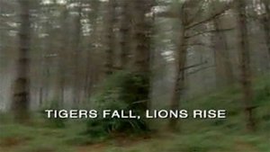 Poster for Tigers Fall, Lions Rise