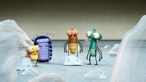Poster for Fly Out of Time