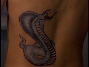 Poster for Curse of the Cobra Poster for Curse of the Cobra