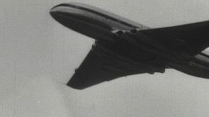 Poster for Ripped Apart Poster for Ripped Apart