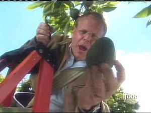 Poster for Curious Yet Tasty Avocado Experiment